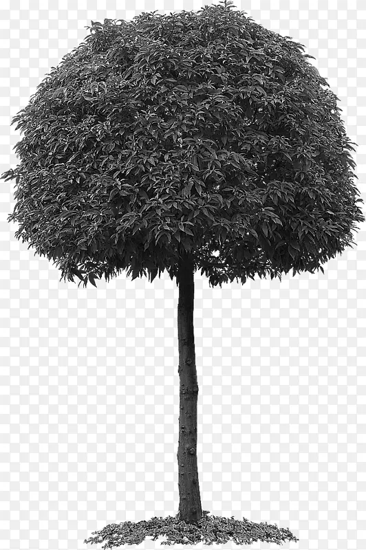 �����ݼ�����-��-������