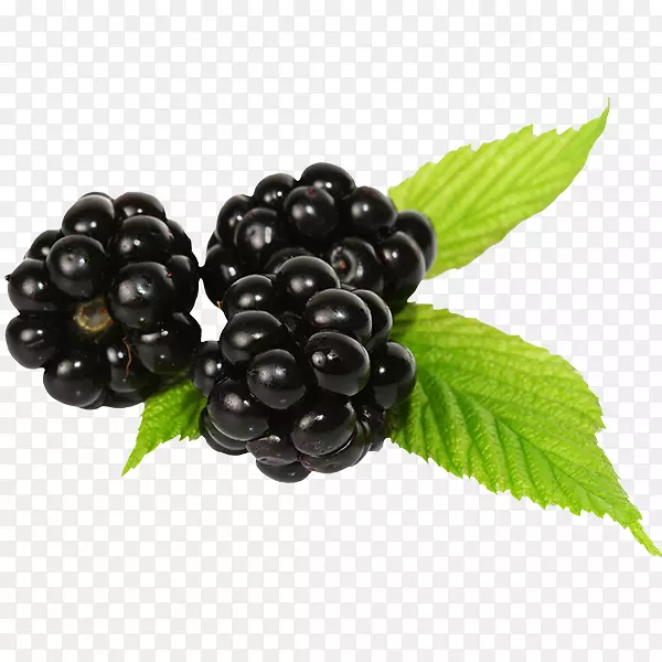 �����ӹ�ʵ����ݮ���¸���˹-������-������