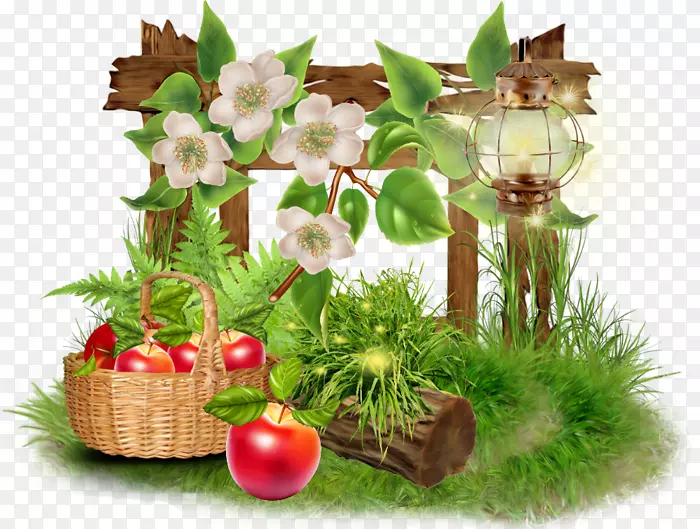 ���軨�����.���-������