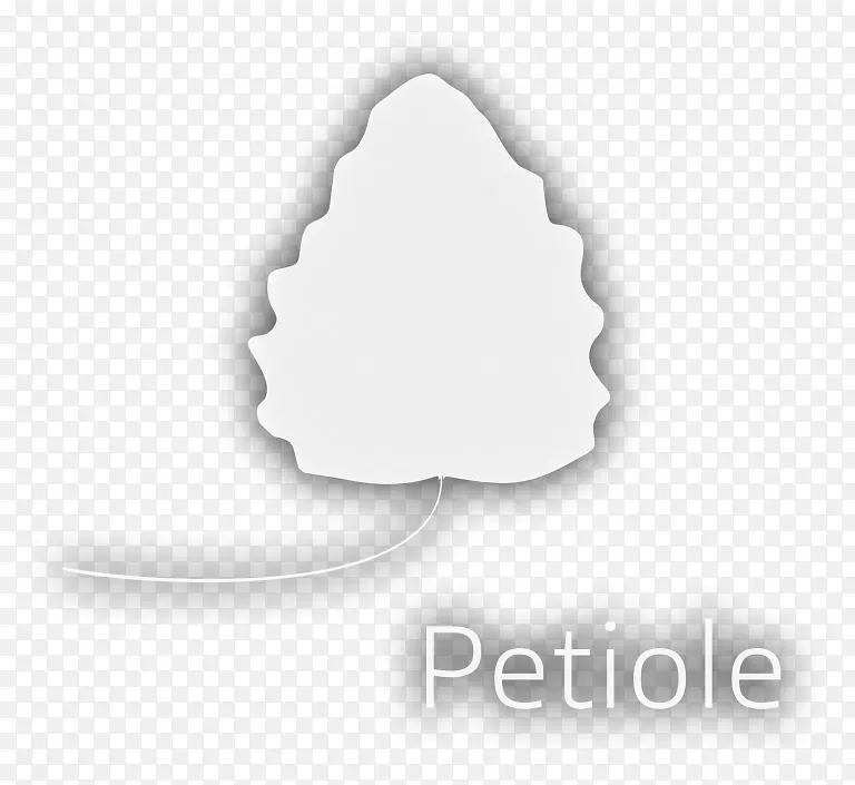 Ʒ�ư�ɫ�������-������