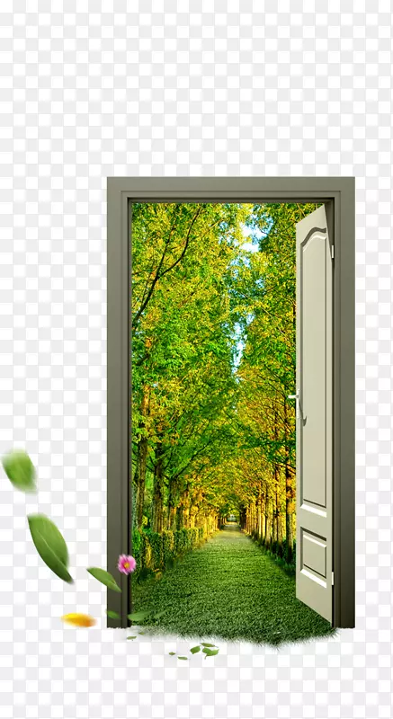 ���ɴ���ֱ��-������