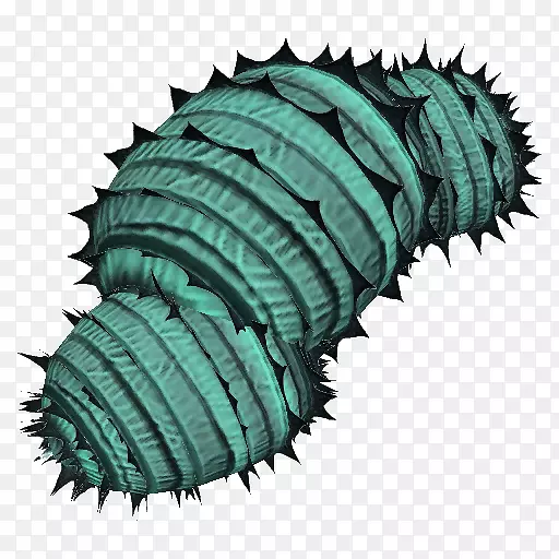 Ҷ����ֲ��ɳĮ�����ƿ��۾�-Ҷ-������