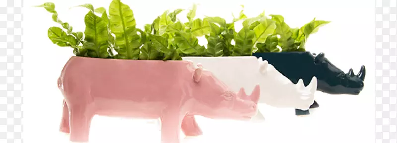 �մɻ����մɻ�ƿ�ִ���ƿ-������