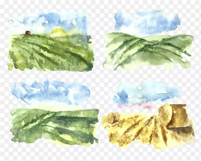 ˮ�ʻ���ͼ������-������