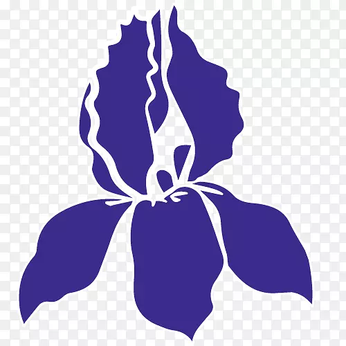 ����Ҷ����ֲ�������-������