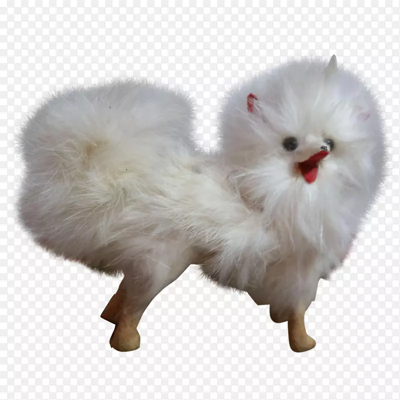 ���룬èë�����ӣ�βè-������