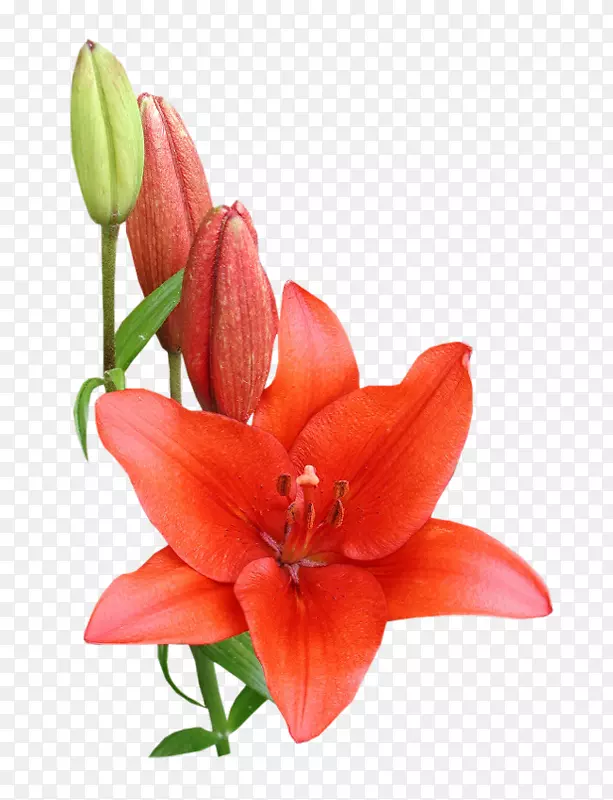 ���ͱ�ǩ��-������