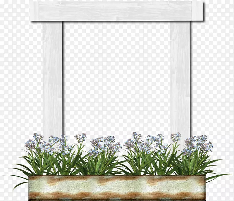 ��Ӱ��˰-��Ѽ�����-��ע-������