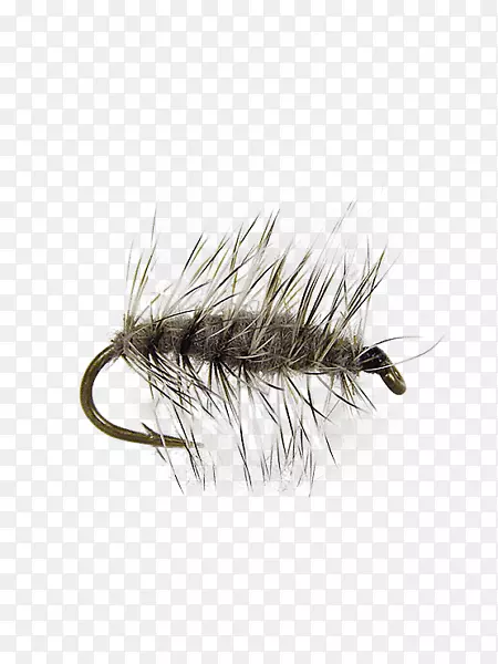 ���������˹�Ӭ����-����-������