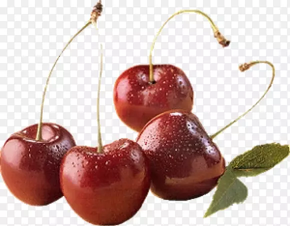 ӣ�ҹ�ʵ������-ӣ��-������