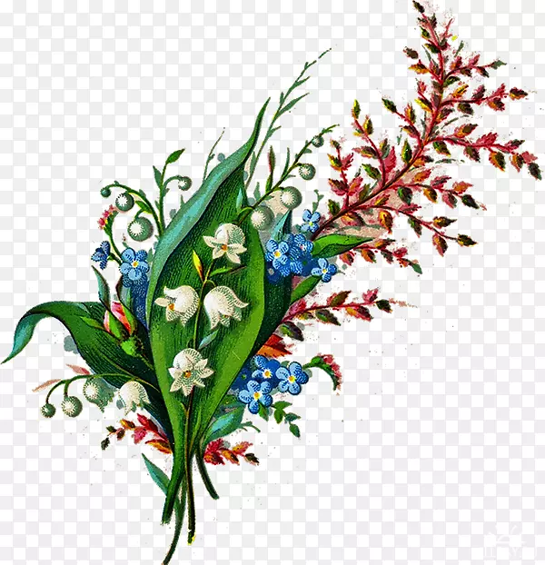 ��������л�����-������