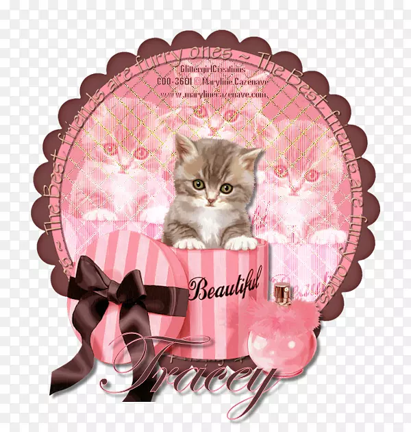 2018�����ֲ���������ѧ�����ɱ�������־��2018��-���Ѷ���-������