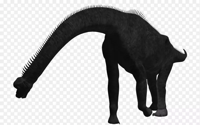 Ȯë��ɫ-������