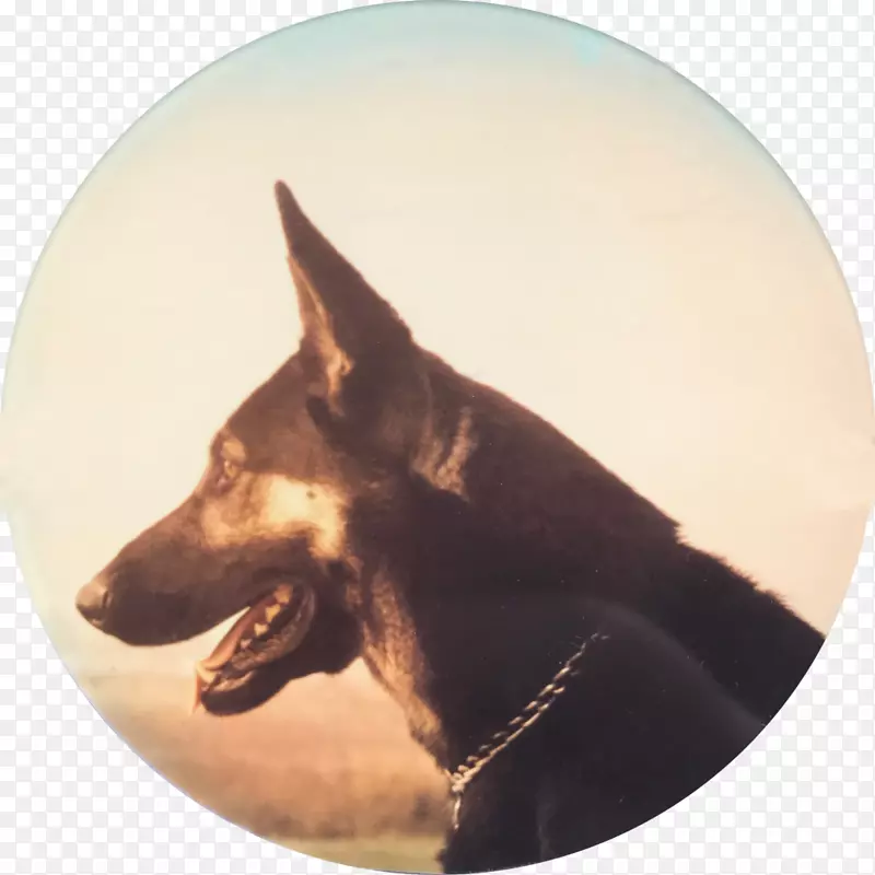 �Ĵ�����KelpeRazas nativas�����˺��Ĵ�������-�Ĵ�����-������