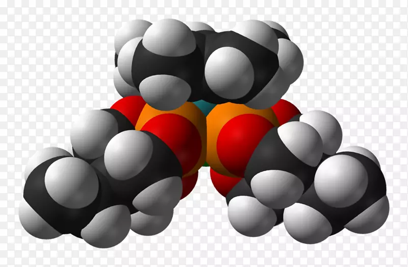 �����ֽ�������-������