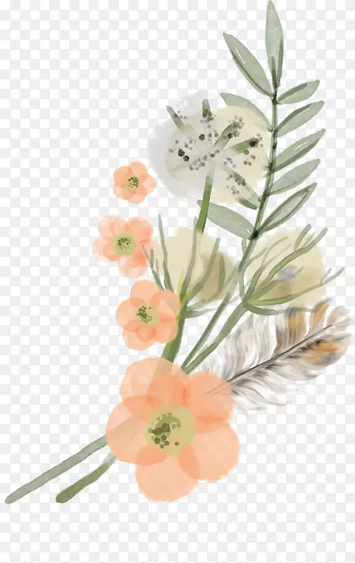 ����С��-������