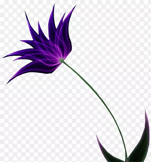 ���껨���-��-������