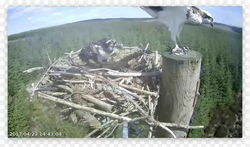 ��ľ/��/083 vt-��-������