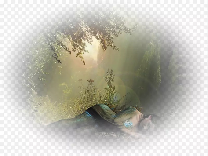 WordPress.com���Ͳ�����ζ���ǹ�-������