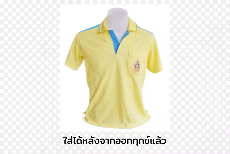 ��������t������ɫ���£����������������-������