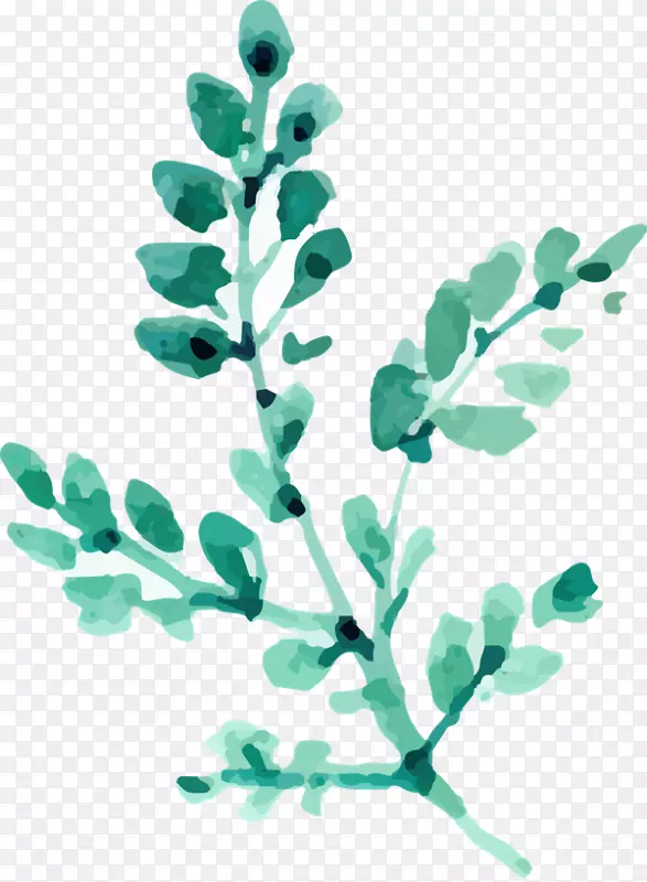 Ҷ��ˮ�ʻ�-Ҷ-������