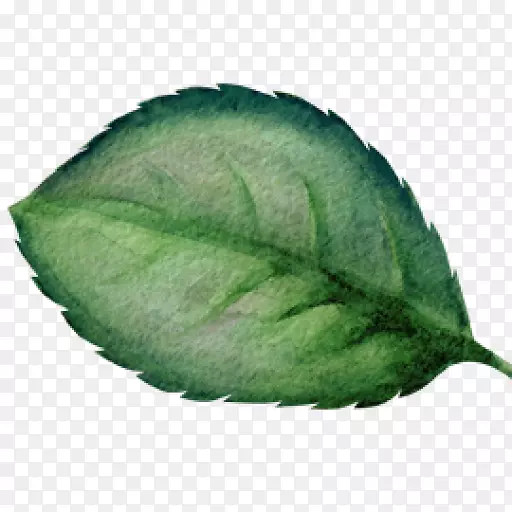 ˮ�ʻ���Ҷ-������