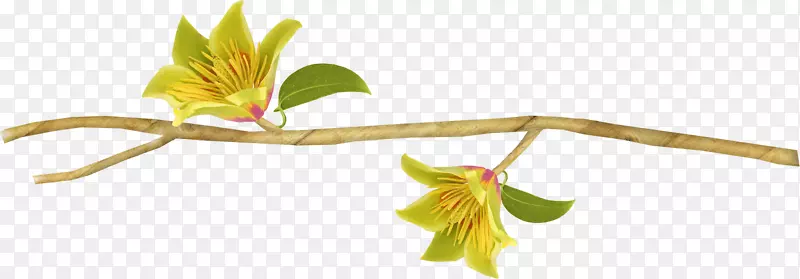 ����ͼ��-װ���Ա�Ե��-������