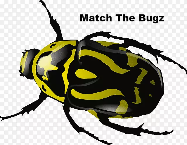 �׳����ؼ�������-�׳�-������