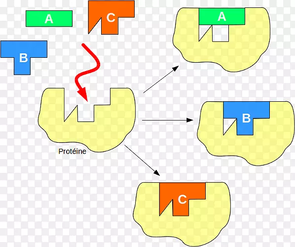 ��������������ҩ��ø���ﵰ��-������