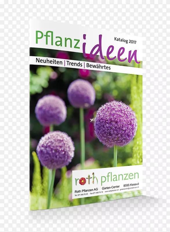 ����ֲ��-������