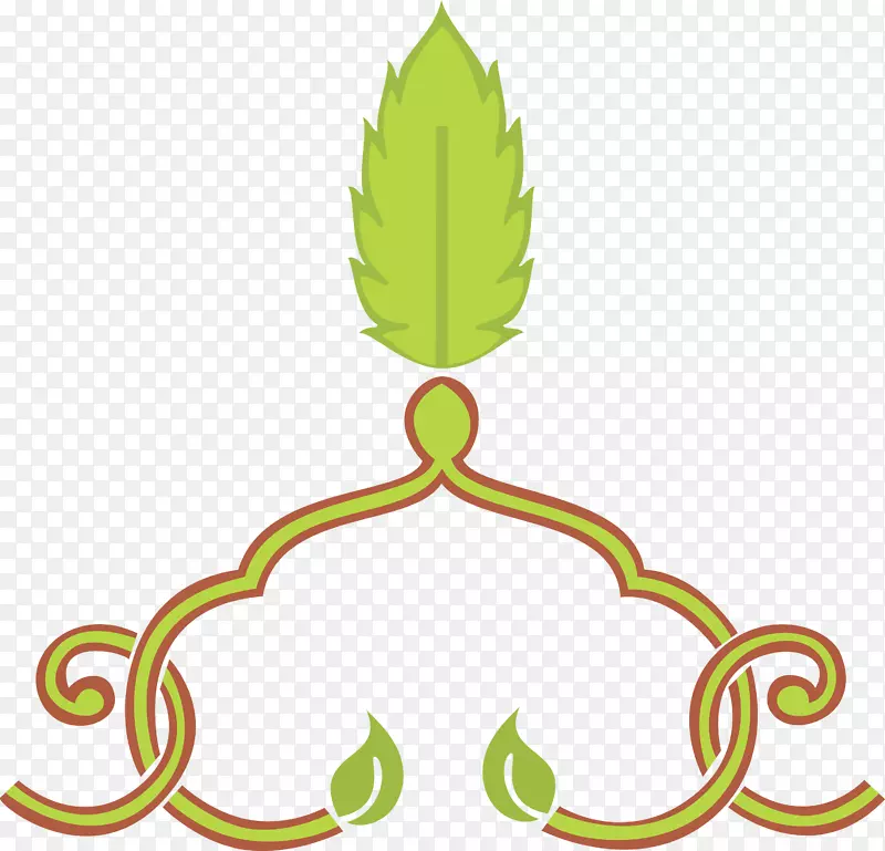 Ҷ����ֲ�ﾥ�Գ�Ҷ-������