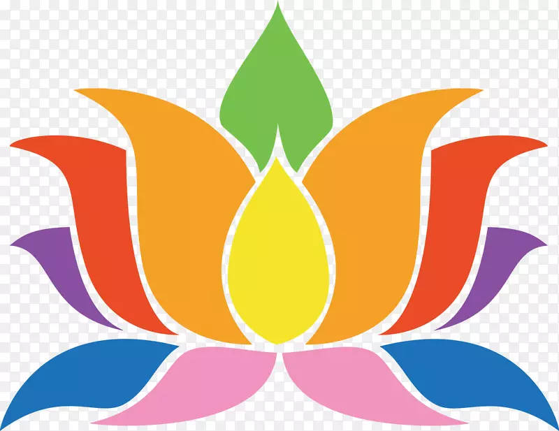 ����nelumbo nucifera����ԳƼ�������-������