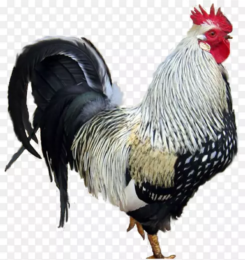 ����-������