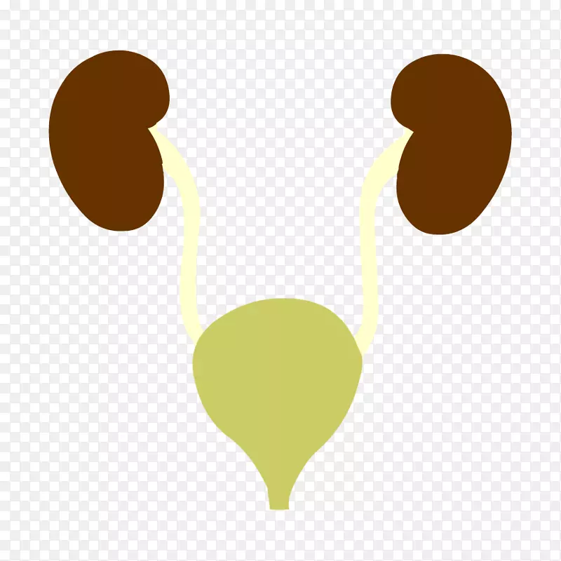 ��йϵͳ��POP��ֳϵͳ�������ѧ-��ѧ-������