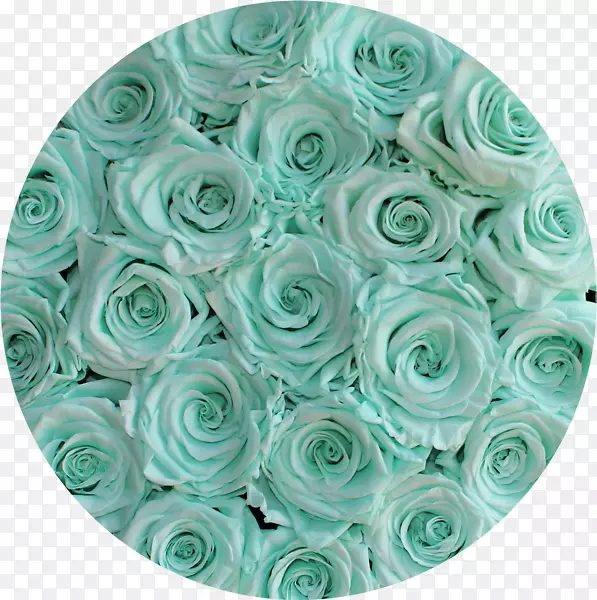 �л�����ʯ����-������