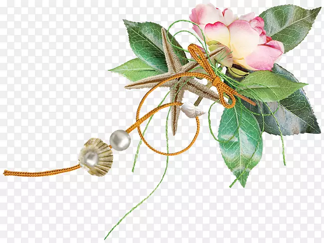 õ����л�ֲ�ﾥõ��-������