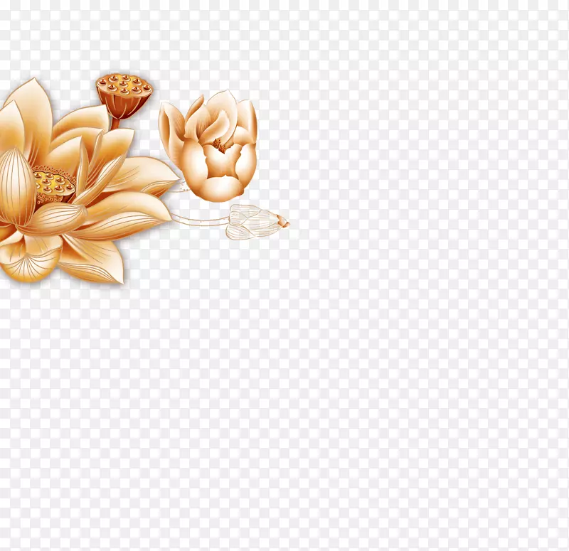 ����-������