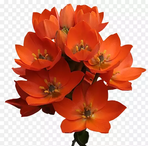 �л�������ֲ����꣬һ����ֲ��-������