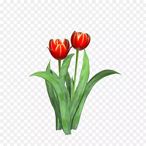 �������л�ֲ��-������-������