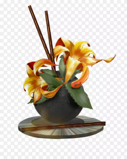 ��������л���ƿ���컨-������