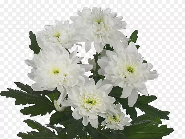 �ջ��л��ƶ���ֲ��ջ�-������