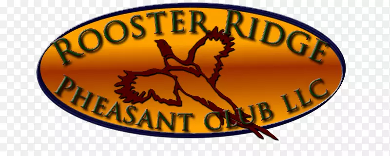 �̱�����-����-������