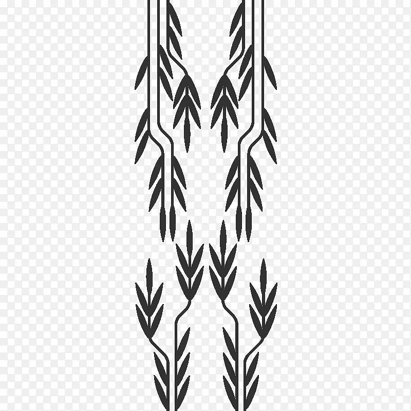 Ҷ���������Գƿ���ֲ��-Ҷ-������