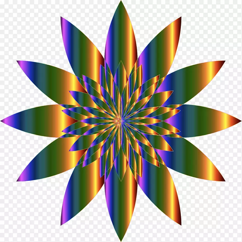 ������-����-������