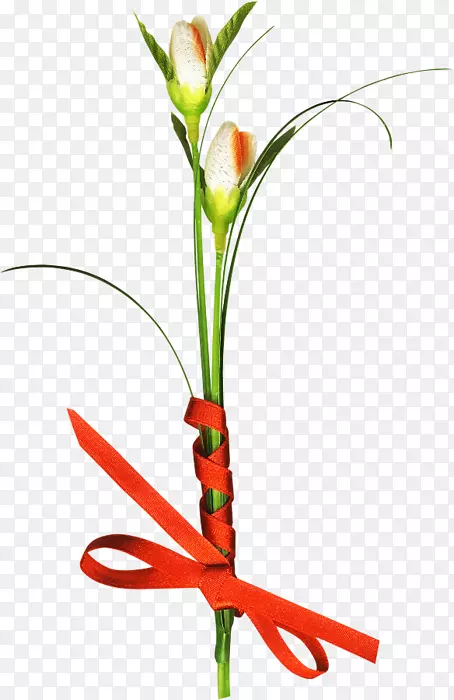 ��������л�����ֲ�ﾥ��-������