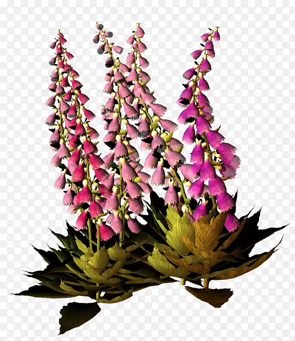 ������Ƽ���������-������