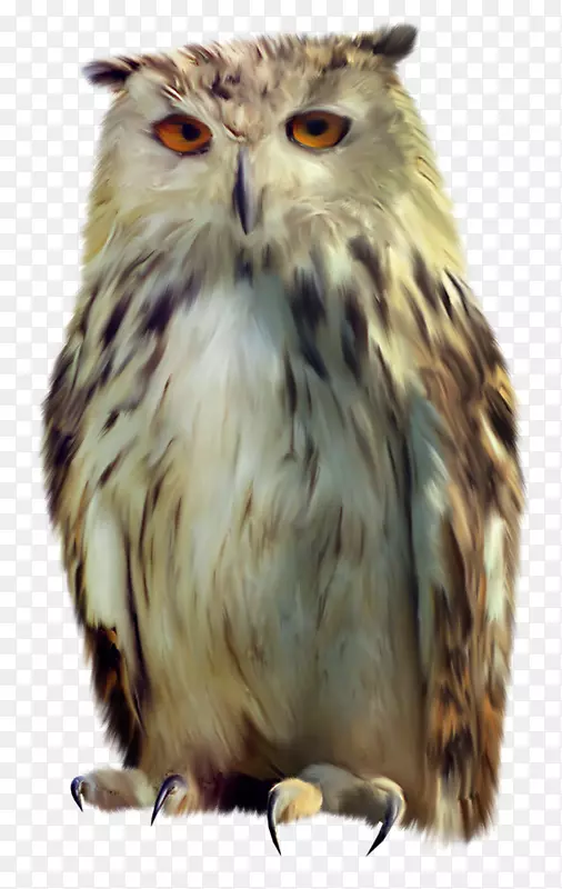 èͷӥ-������