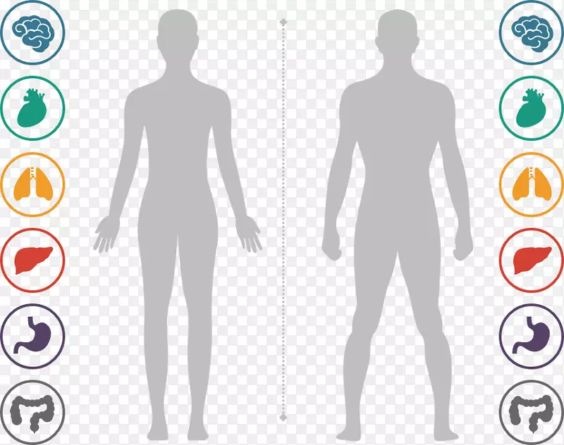 �粿��־��֯����-ppt����-������