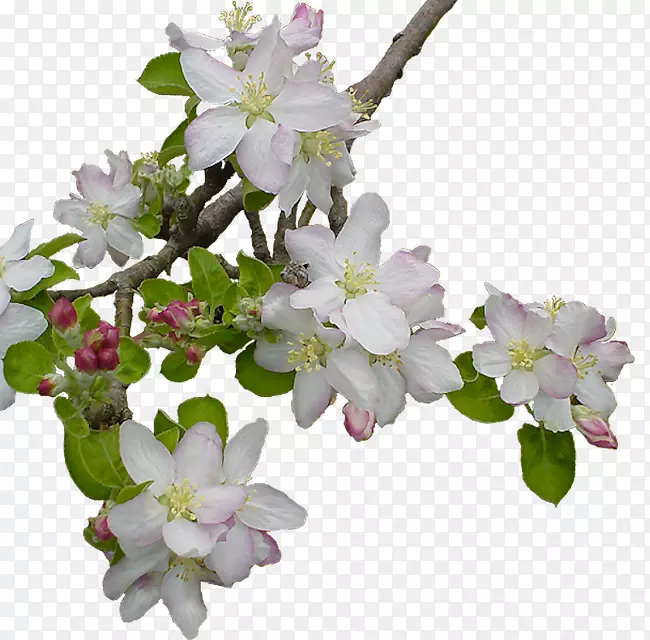 ����������-������