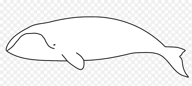 ���Ӱ�ɫ������-����-������